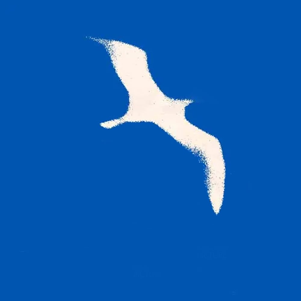 ஜானதன் லிவிங்ஸ்டன் ஸீகல்