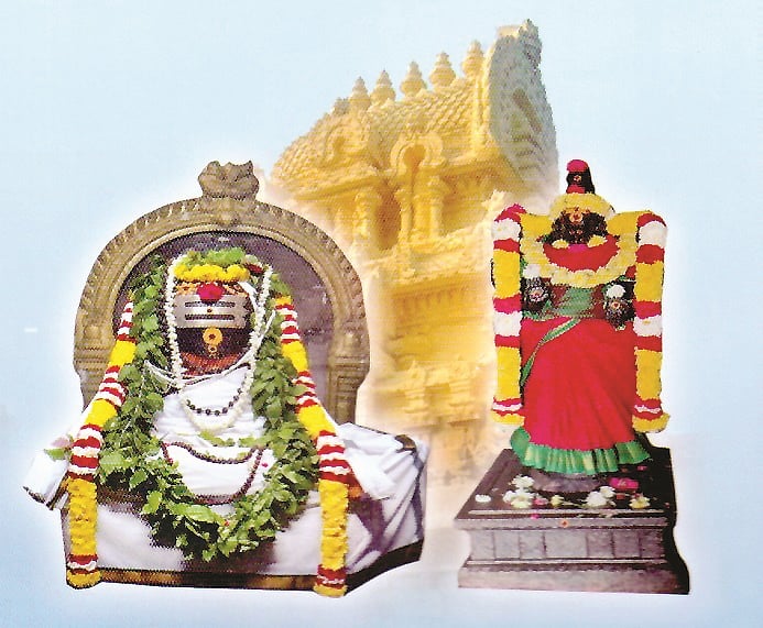 தானம் பெற்ற தருமேசுவரர்!