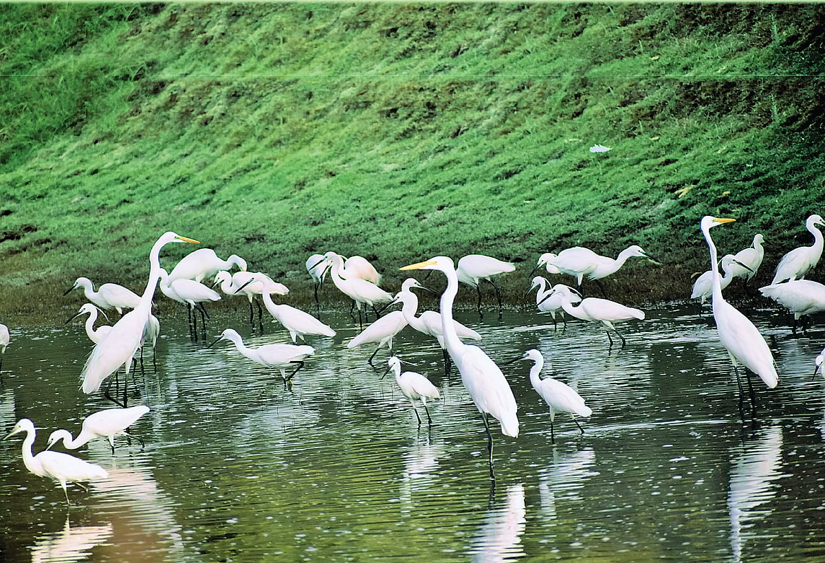 உலகம் அனைத்து உயிர்களுக்குமானது...