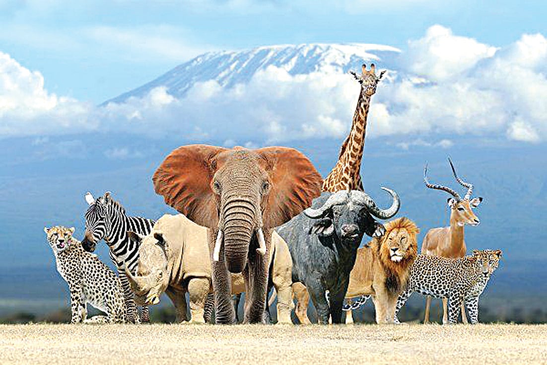 வனமும் வாழ்வும்!