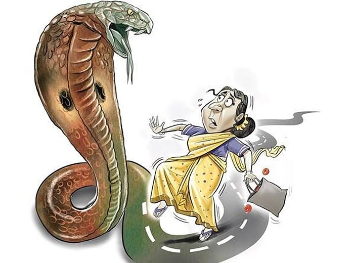 பாம்புக்கடி: அறிவிக்கக் கூடிய ஒரு நோய்!