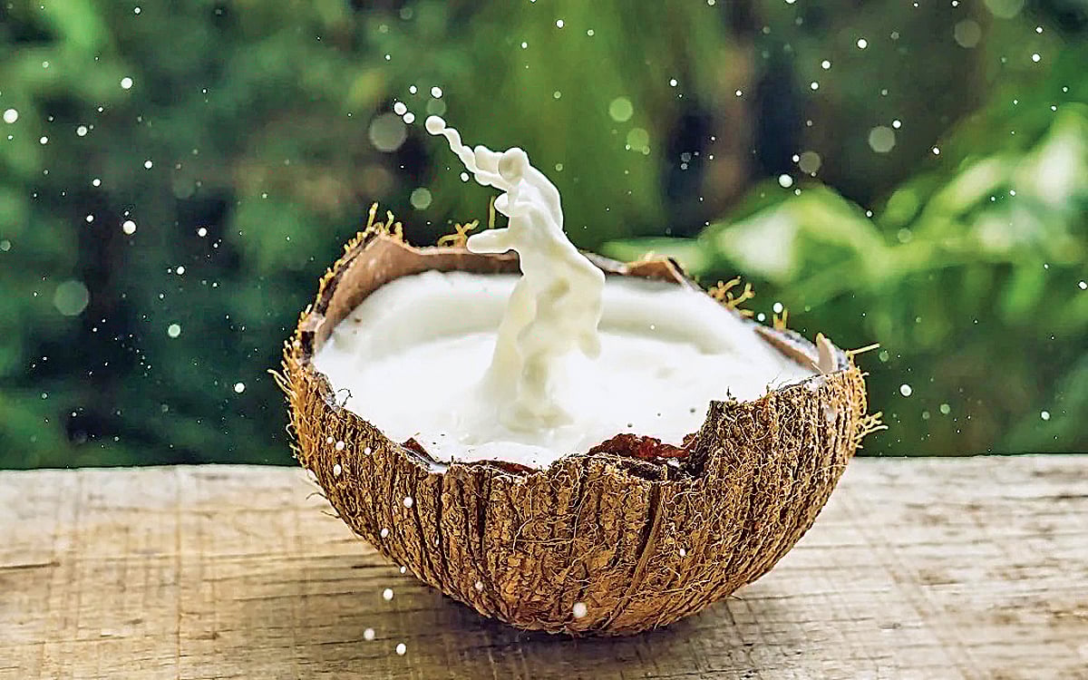 சத்துகள் நிறைந்த தேங்காய் பால்