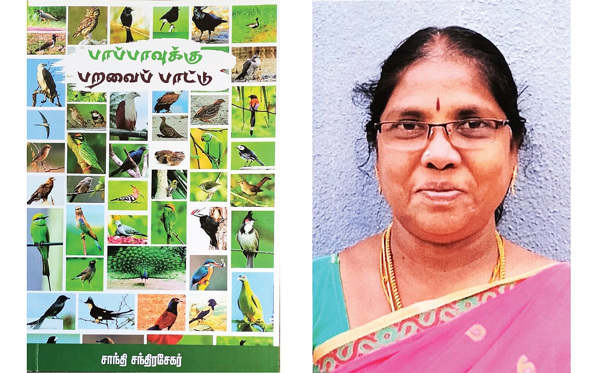 பாப்பாவுக்கு பறவைப் பாட்டு..!