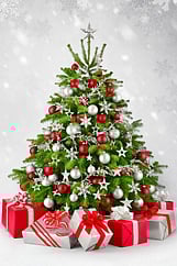 கிறிஸ்துமஸ்