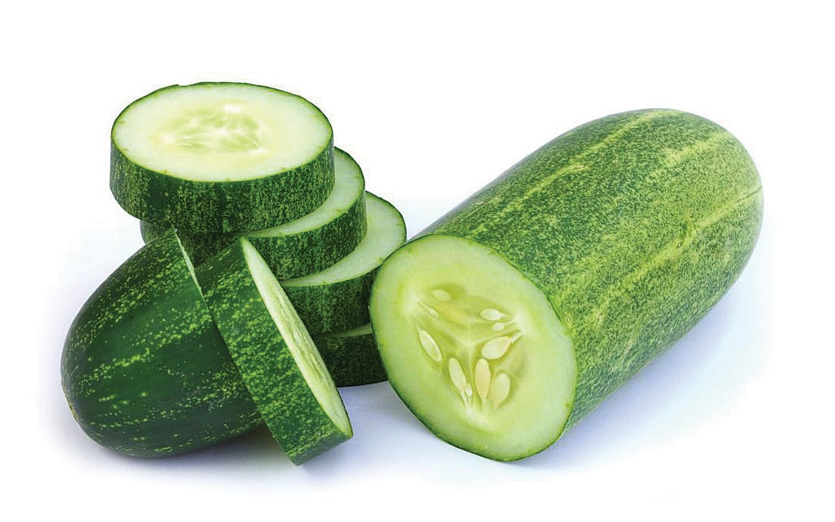 ஆயுள் காக்கும் ஆயுர்வேதம்: உடல் எரிச்சல், குமட்டல் குணமாக... 