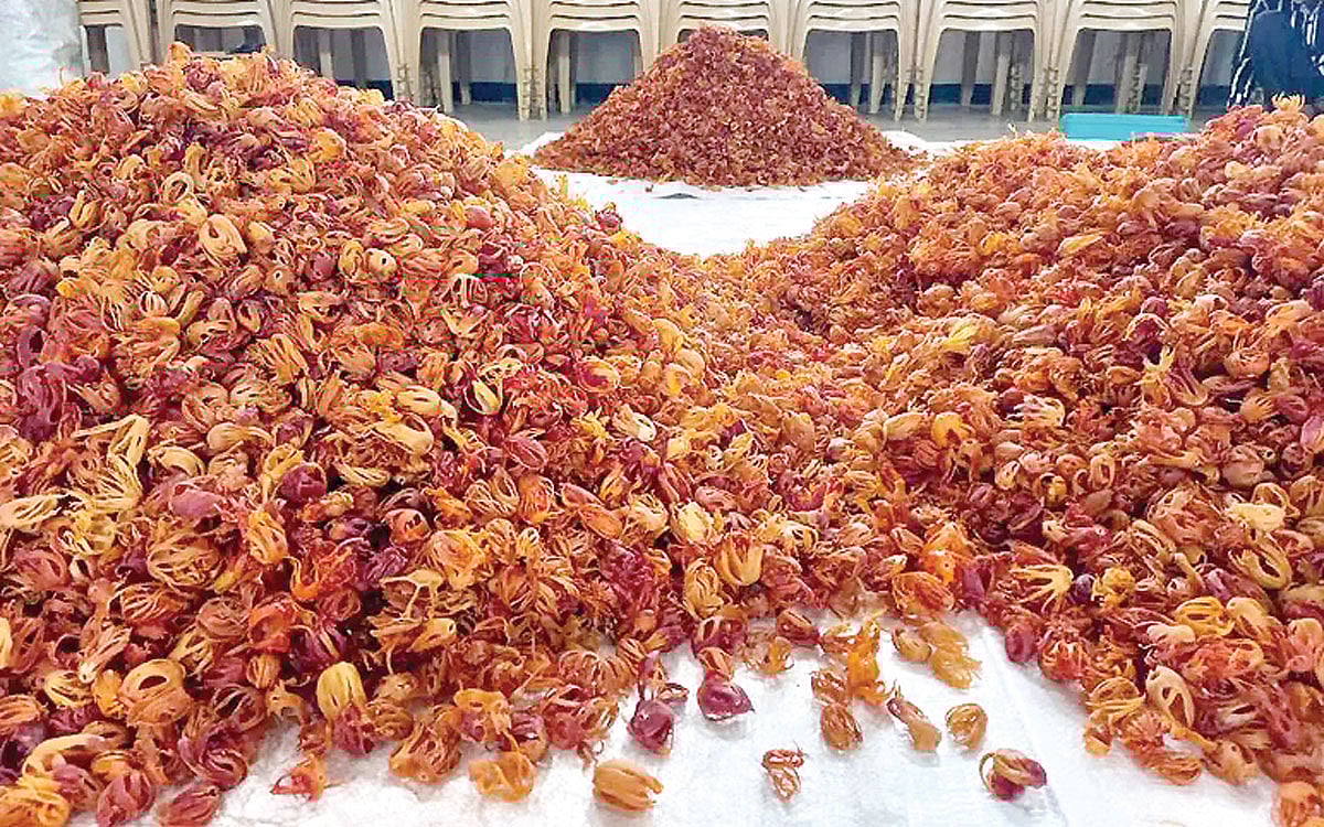 ஏற்றுமதியாகும் ஜாதிக்காய்கள்..!