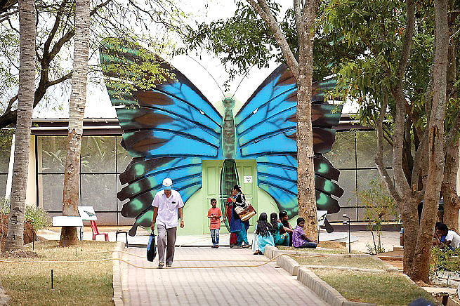 பன்னர்கட்டா உயிரியல் பூங்கா...