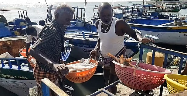 மீனவா்களுக்கு மானிய விலை டீசலை 5 ஆயிரம் லிட்டராக உயா்த்த கோரிக்கை