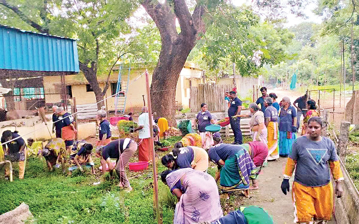 278 கோயில்களில் உழவாரப் பணி