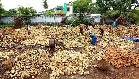 பரமத்தி வேலூரில் ரூ. 7.94 லட்சத்துக்கு தேங்காய் ஏலம்