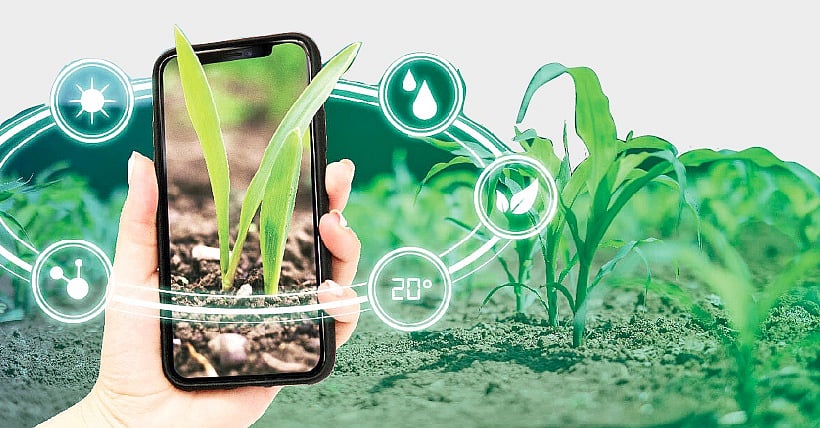 எண்மத் தொழில்நுட்ப பயிர்க் கணக்கீடு: திண்டுக்கல் முதலிடம்