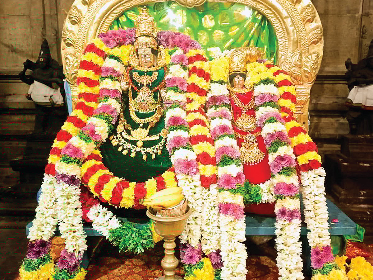 திருவாதிரை வழிபாட்டில் திருவாலங்காட்டு ஆடல்வல்லான்