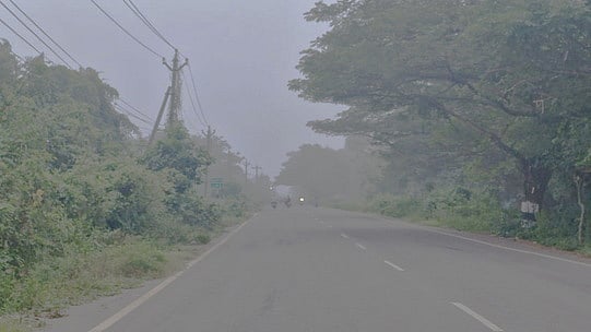 பிப்.12 வரை 13 மாவட்டங்களில் மிதமான பனிமூட்டம்!