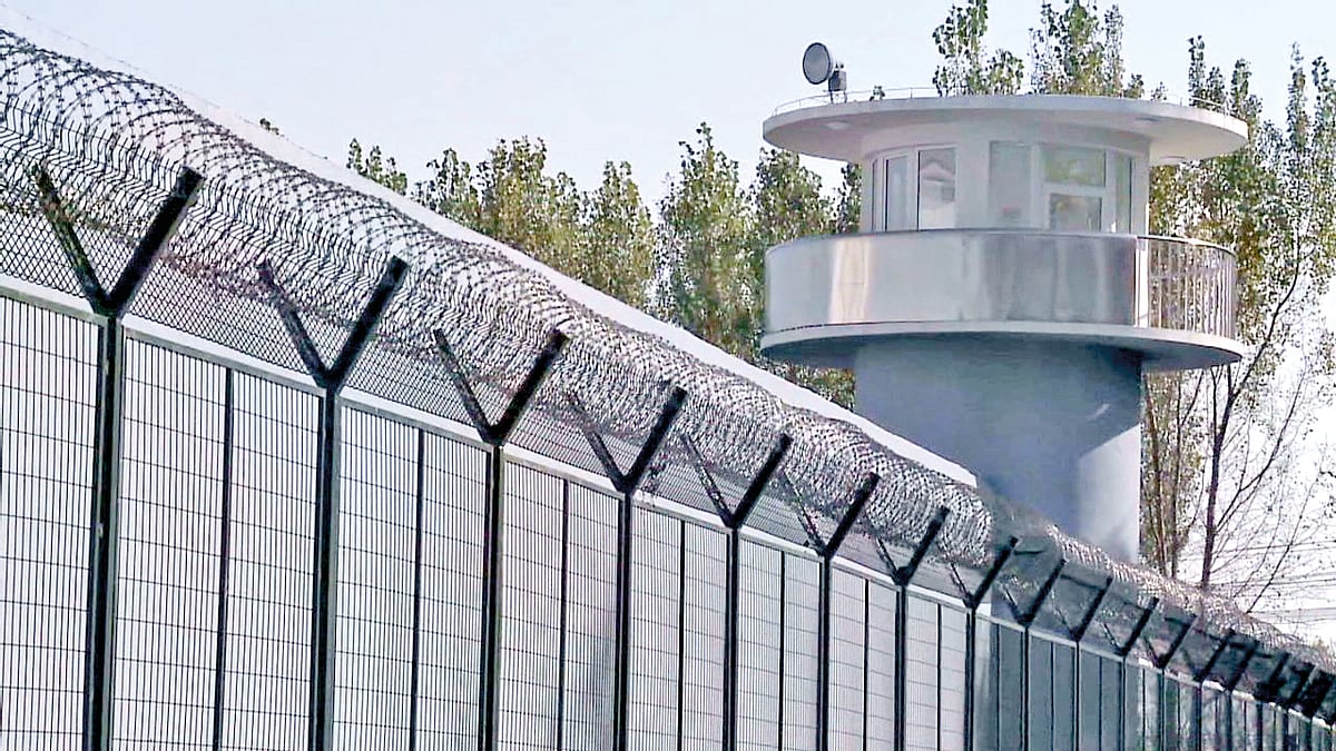 டிங் சூய்...