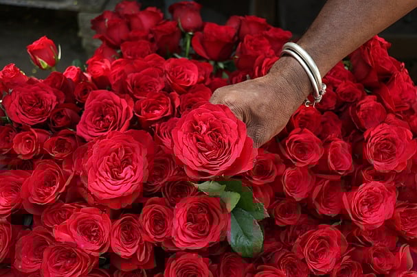 'காதல்' என்கிற பேருணர்வு