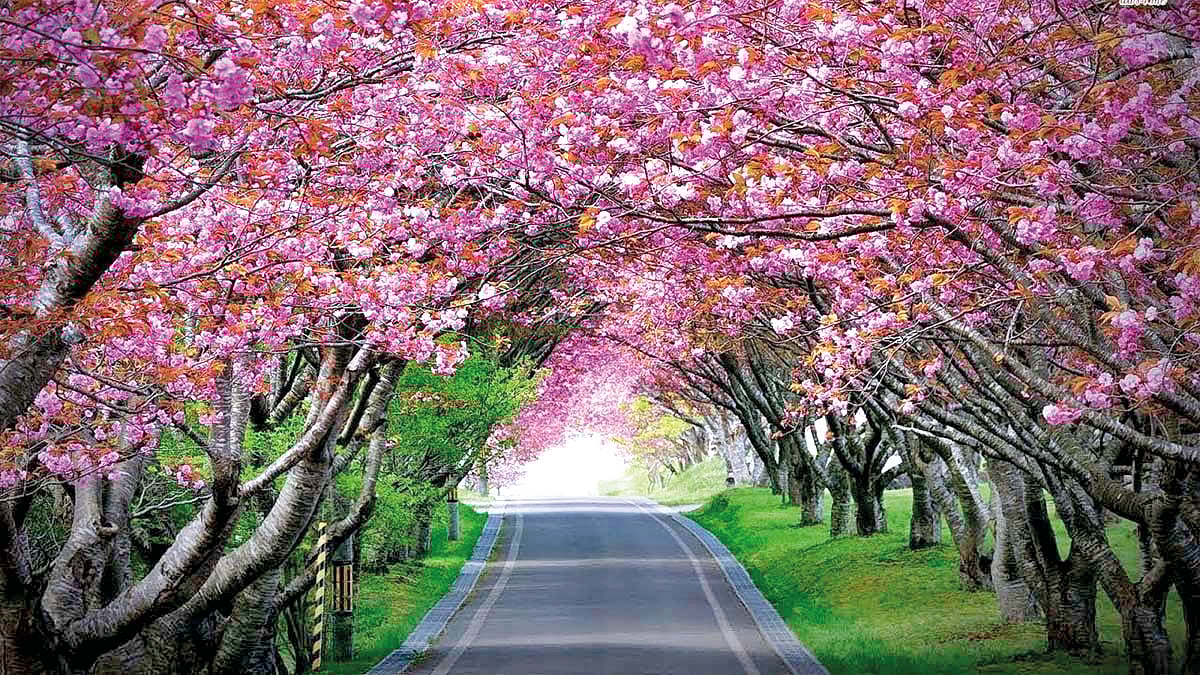 கண்ணைக் கவரும்...