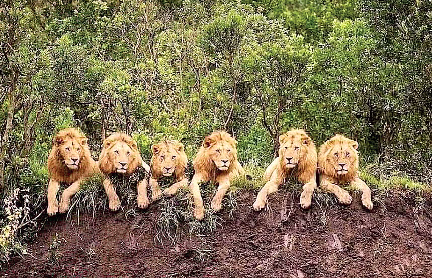 நம்பினால் நம்புங்கள்...