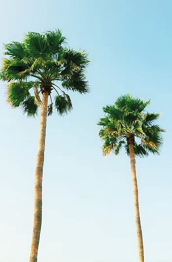 கோடைச் சூடு தீர்க்குமே!