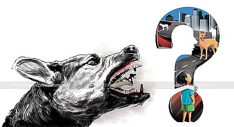 அதிகரிக்கும் வெறிநாய்க்கடி பாதிப்புகள்!