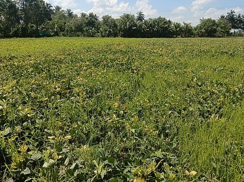 திருச்சி மாவட்டத்தில் 180 டன்
உளுந்து கொள்முதல் இலக்கு