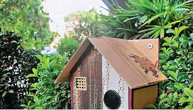 ஓ.. குருவி.. சிட்டுக் குருவி..