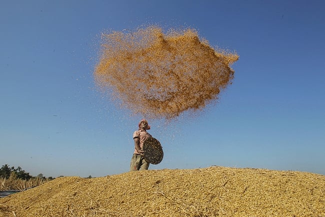 ஆதரவு விலை ஏற்படுத்தும் அதிருப்தி! 