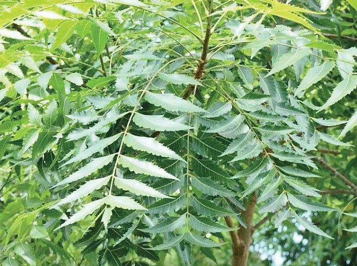 பெண்களுக்கான அழகுக் குறிப்புகள்!