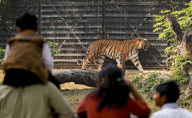 தில்லி உயிரியல் பூங்கா முறைகேடுகள் குறித்து சிபிஐ விசாரணை தேவை: வனவிலங்கு ஆா்வலா் கோரிக்கை