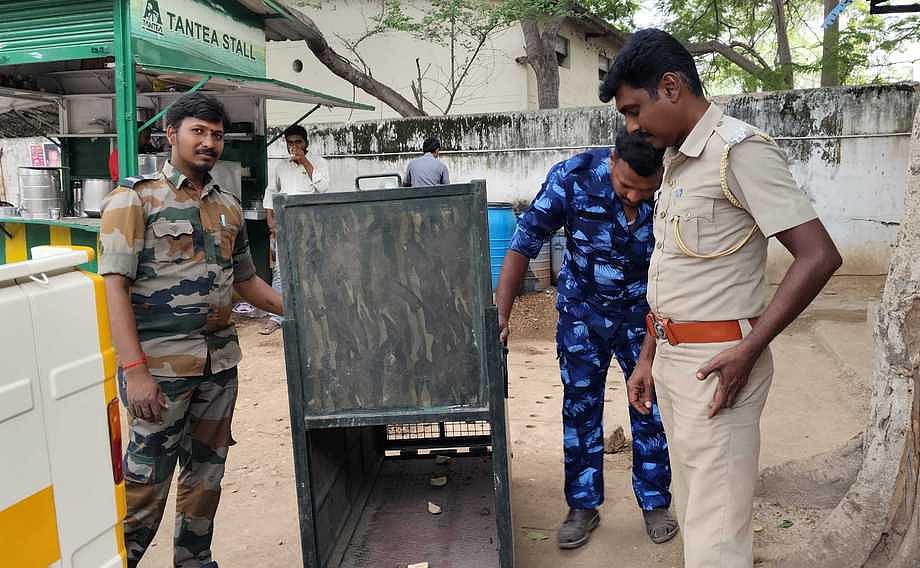 மாவட்ட ஆட்சியா் அலுவலகத்தில் சுற்றித்திரிந்த குரங்கால் பரபரப்பு