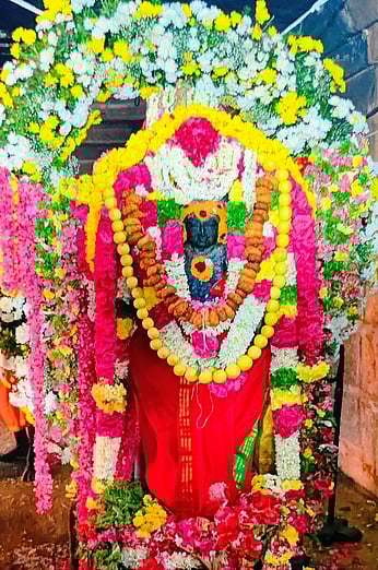 சோழீஸ்வரா் கோயிலில் 
காலபைரவா் ஜெயந்தி விழா