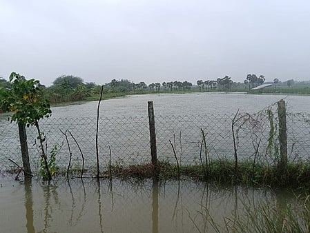 நீரில் விழுந்த நெருப்பு!
