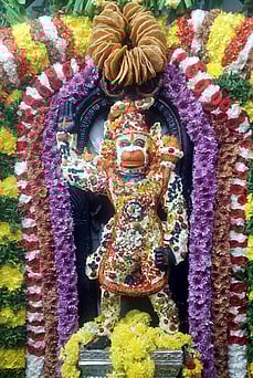 காஞ்சிபுரம் கோயில்களில் அனுமன் ஜெயந்தி விழா