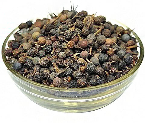 வால்மிளகின் மருத்துவப் பயன்கள்...