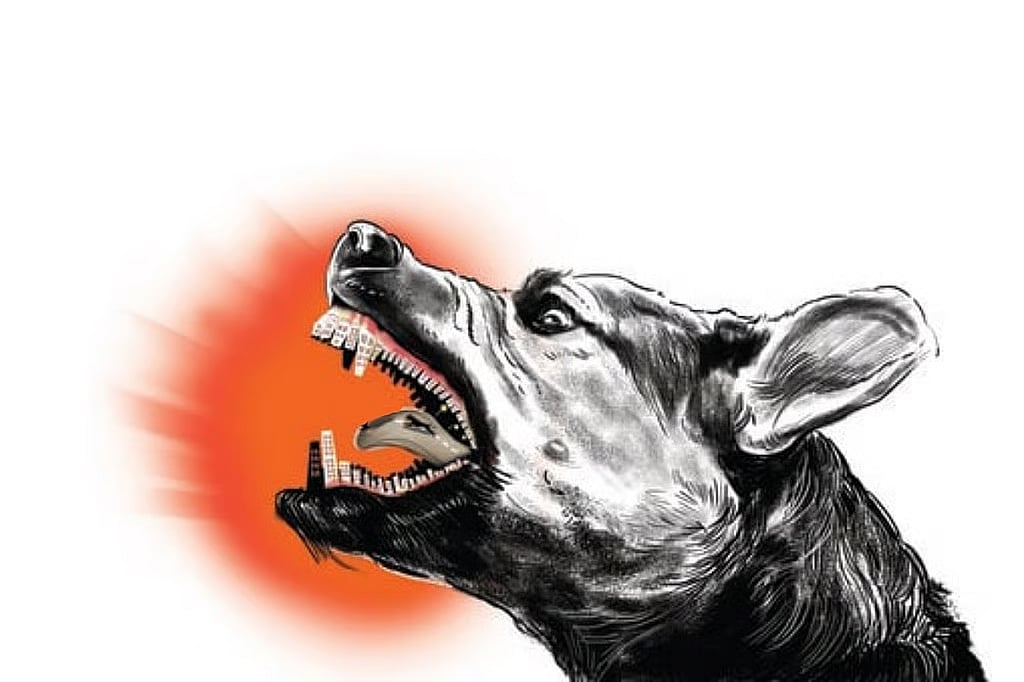 சிறுவனை கடித்த நாயின் 
உரிமையாளா் மீது வழக்குப் பதிவு