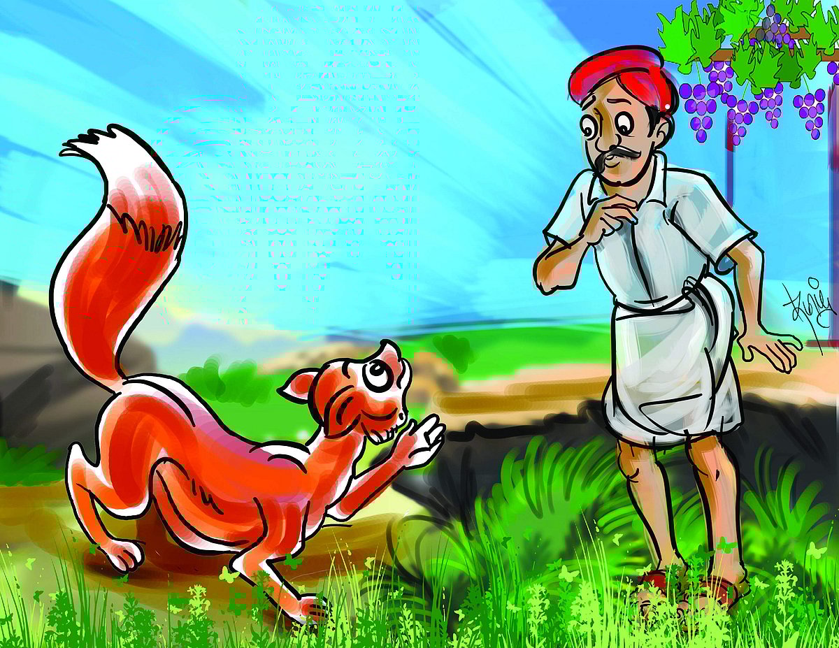 நீதிக் கதைகள்!  நரியும் திராட்சையும்!