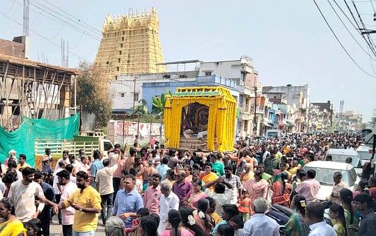 சங்கரன்கோவிலில் ஆருத்ரா தரிசனம்