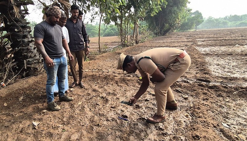 கடலூா் அருகே சிறுத்தை நடமாட்டம்? வனத் துறை ஆய்வு!