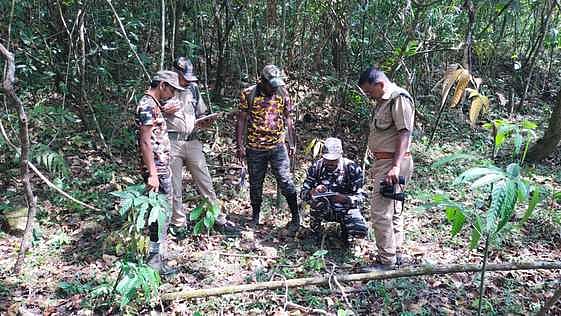 வால்பாறை, மானாம்பள்ளி வனச் சரகங்களில் புலிகள் கணக்கெடுப்புப் பணி தொடக்கம்