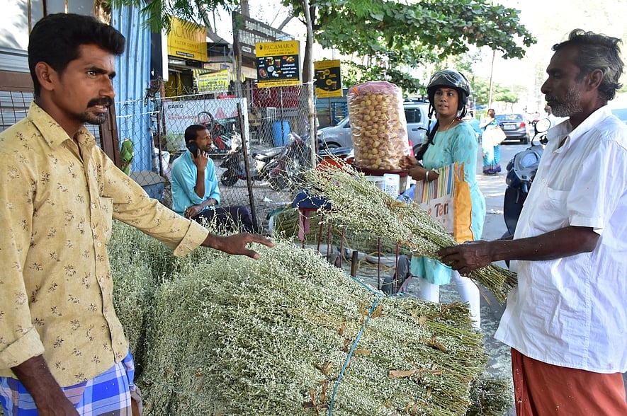 கோவை மாநகரில் சூடுபிடிக்கும் 
பொங்கல் பானை, பூளைப் பூ விற்பனை