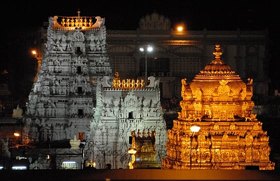 ஏழுமலையான் தரிசனம்: 16 மணிநேரம் காத்திருப்பு