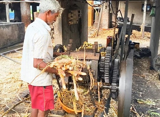 பொங்கல் பண்டிகை: நாட்டு வெல்லம் தயாரிக்கும் பணி தீவிரம்