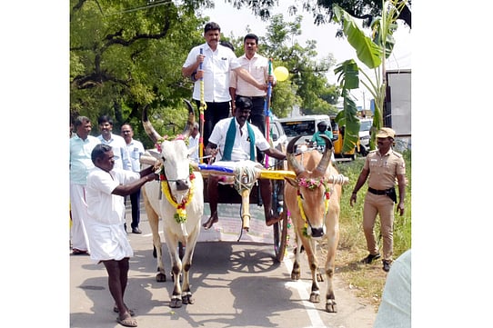 ஊராட்சி, கல்லூரிகளில் சமத்துவப் பொங்கல் விழா