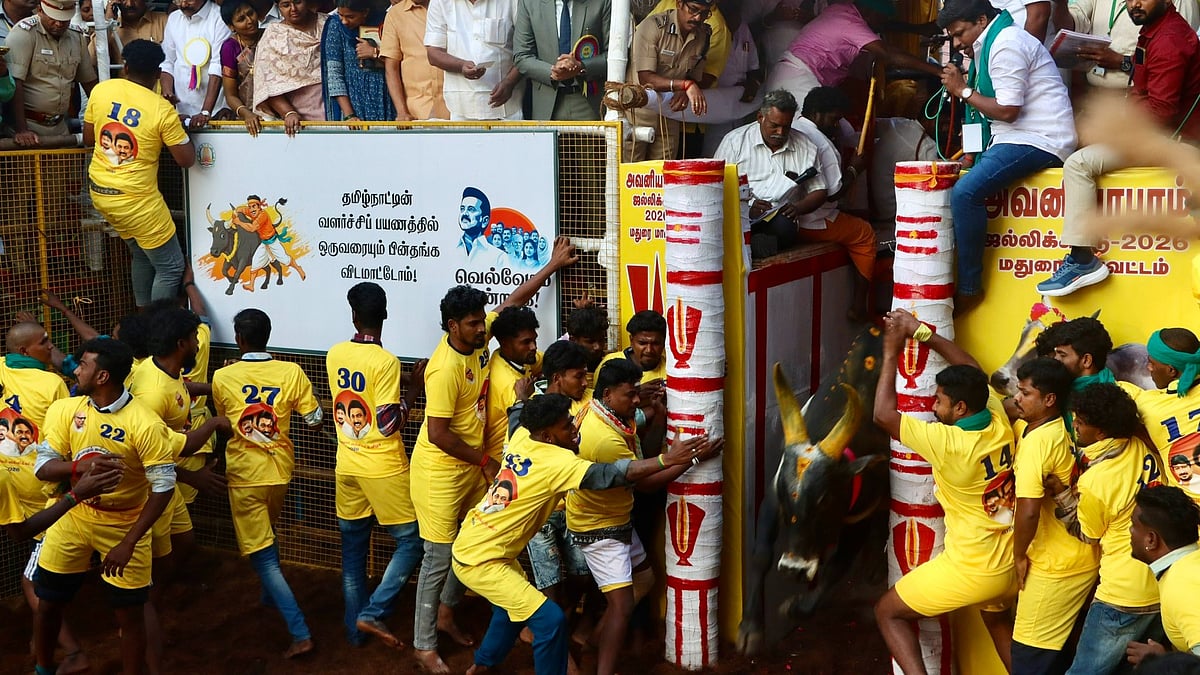 அவனியாபுரம் ஜல்லிக்கட்டு! 22 காளைகளை அடக்கி வலையங்குளம் பாலமுருகன் முதலிடம்!