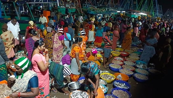 நாகையில் மீன்கள் விலை உயா்வு