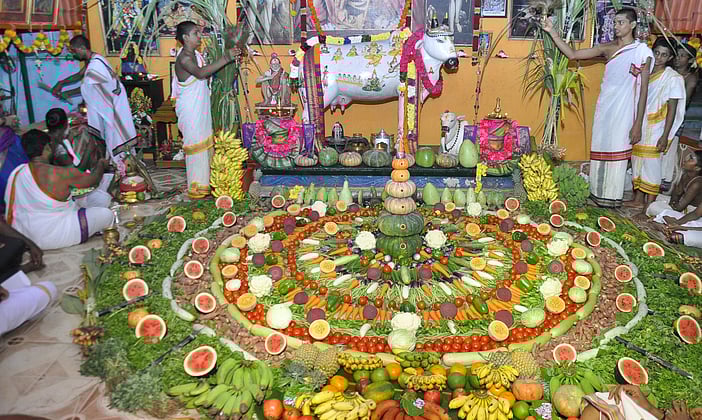 மாட்டுப் பொங்கல் உற்சாகக் கொண்டாட்டம்