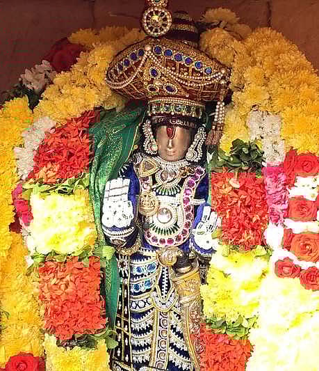 சோளிங்கா் கோயிலில் பாா்வேட்டை உற்சவம்