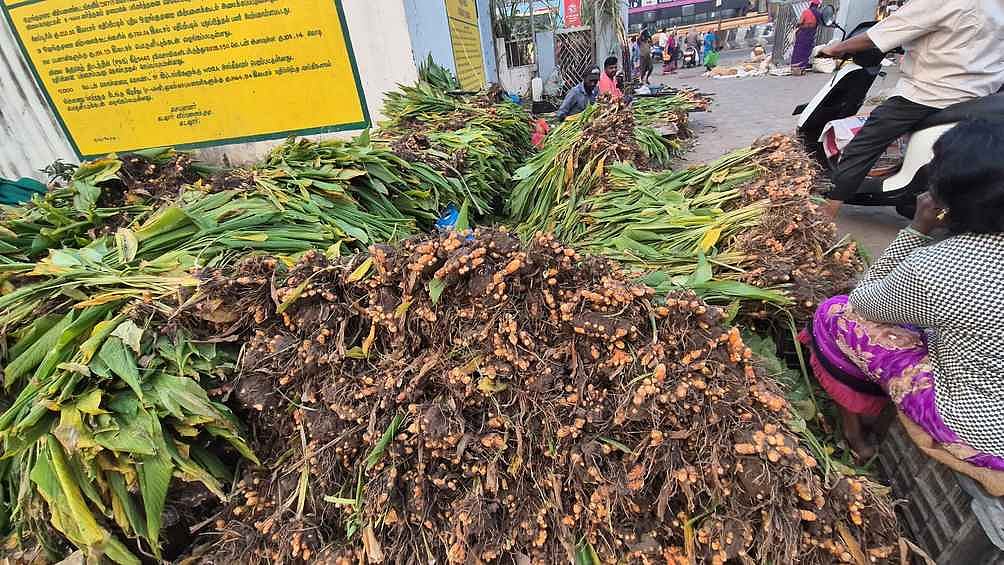 கடலூா் உழவா் சந்தையில் குவிந்த மஞ்சள் கொத்து: வாங்குவாரில்லாததால்  நஷ்டமடைந்த விவசாயிகள்