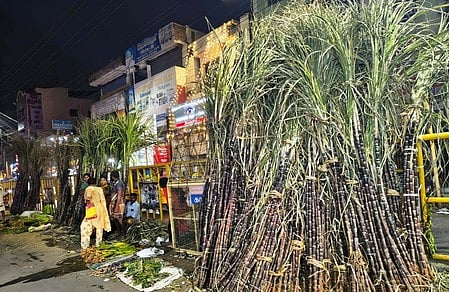 செங்கரும்பு விலை வீழ்ச்சி; வீதியில் விட்டுச் சென்ற விவசாயிகள், வியாபாரிகள்