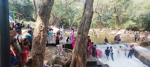 காணும் பொங்கல் கொண்டாட்டம்