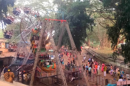 காணும் பொங்கல்: தஞ்சாவூா் பெரிய கோயிலில் குவிந்தனா் சுற்றுப் பயணிகள்